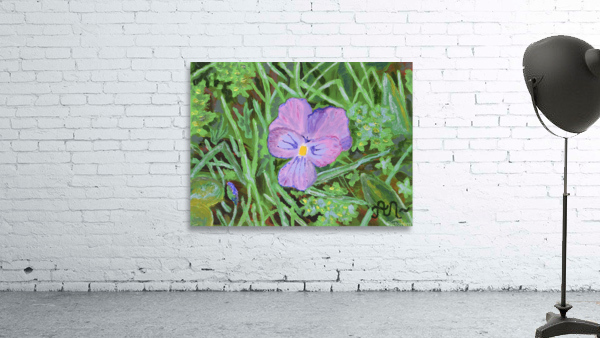 Swiss mountain violet Wall Preview