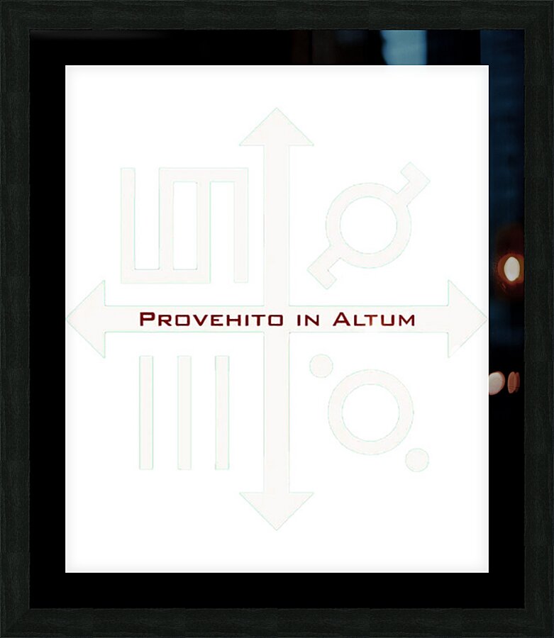 Thirty Seconds to Mars 10 Picture Frame print