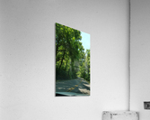 The Countryside Acrylic Print