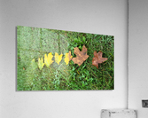 Lifespan Acrylic Print