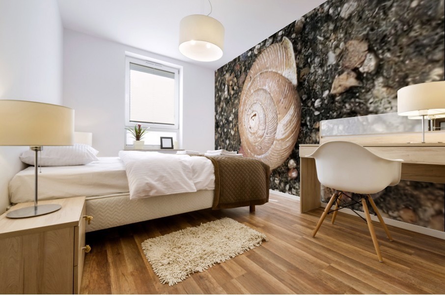 Snail Blending In Mural print