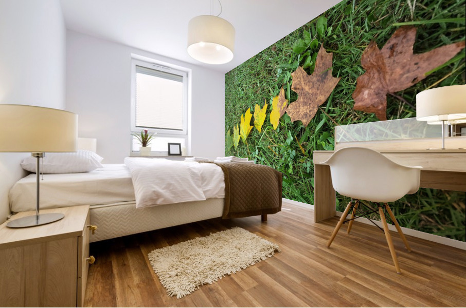 Lifespan Mural print