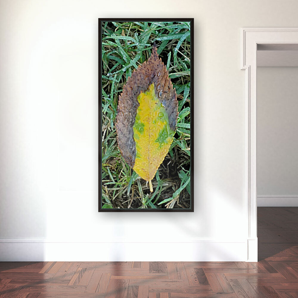 Leaf Transformations Reproduction