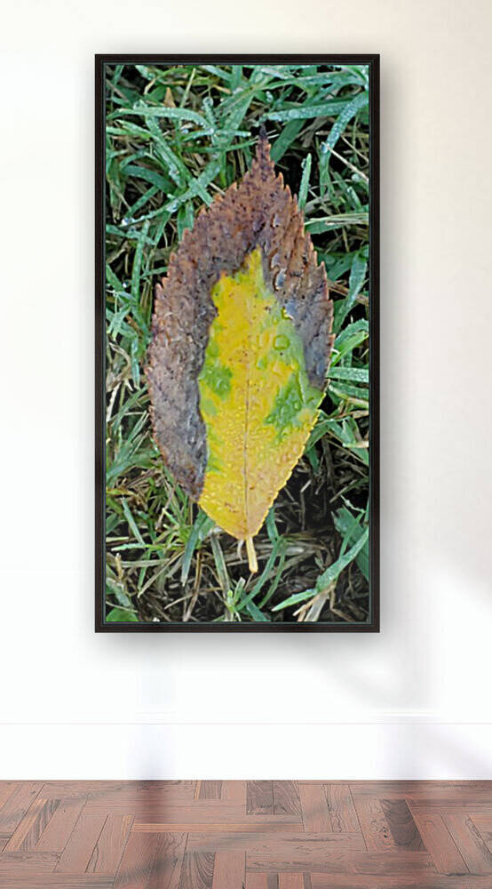 Leaf Transformations Reproduction