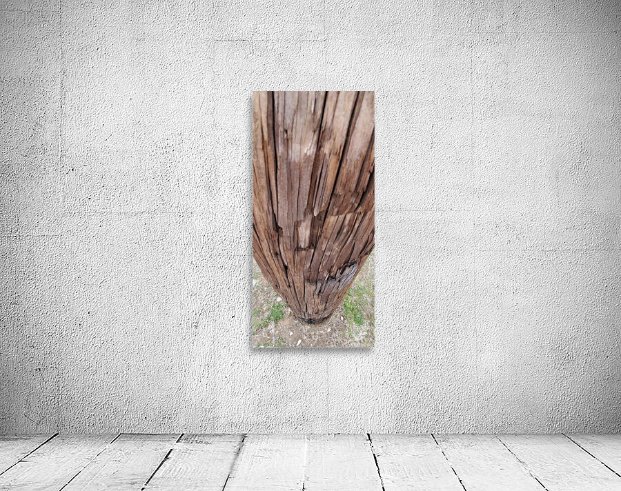 Way We See Things Wall Preview
