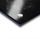 The King Ape Acrylic print