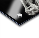 PXL 20220327 141727863 Acrylic print