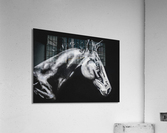 dark horse by abhi 2 orig Acrylic Print
