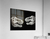 PXL 20220327 141727863 Acrylic Print