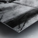 Fighting Wildfire Metal print