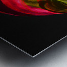 IMG 1354 try Metal print