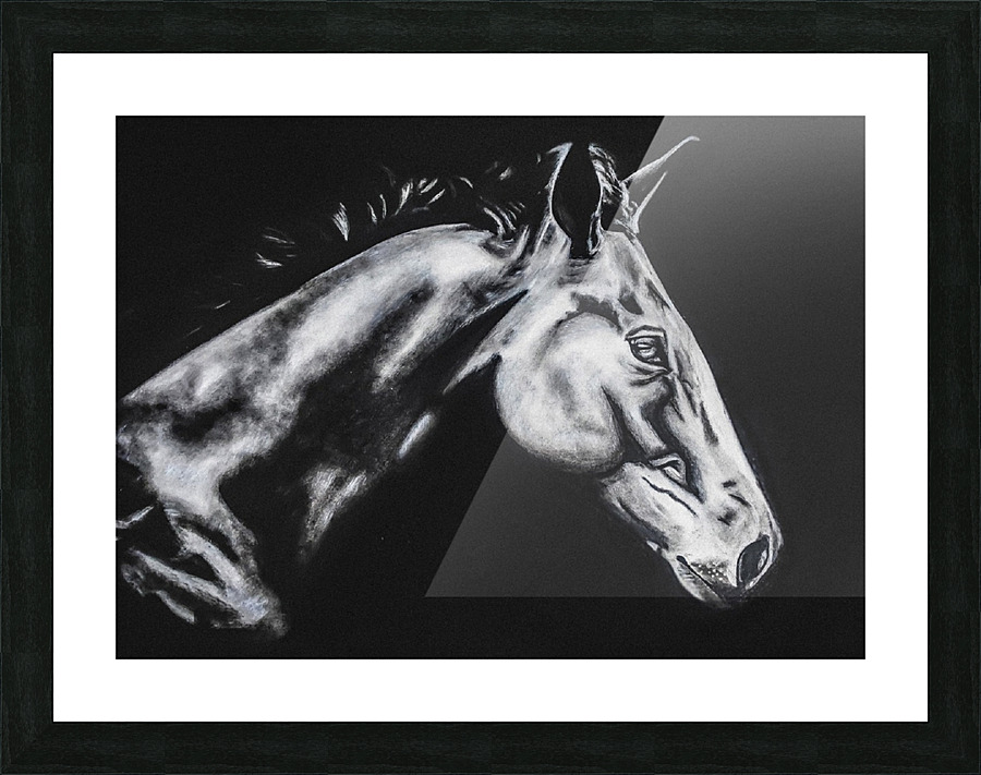 dark horse by abhi 2 orig Picture Frame print