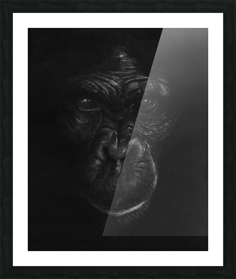 The King Ape Picture Frame print