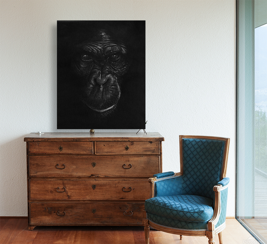 The King Ape Reproduction