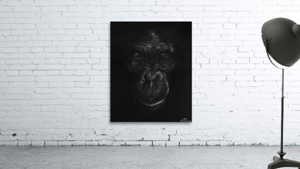 The King Ape Wall Preview