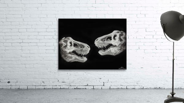 PXL 20220327 141727863 Wall Preview