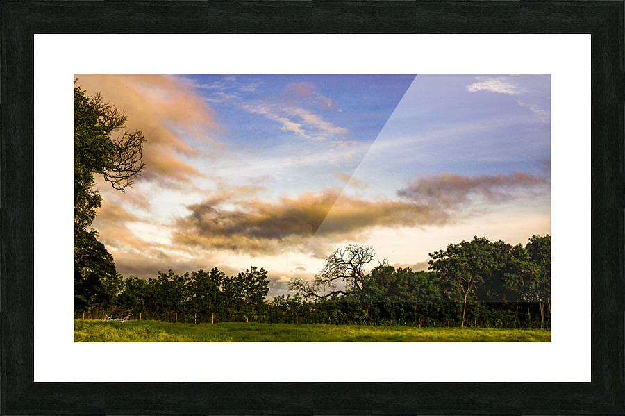 P1110431 Picture Frame print