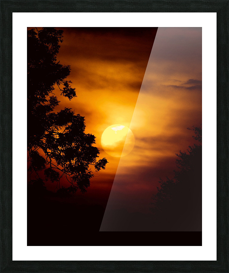 P1200027 Picture Frame print