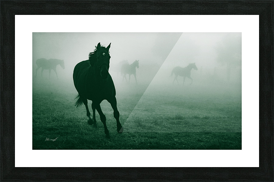 P1300943 Picture Frame print
