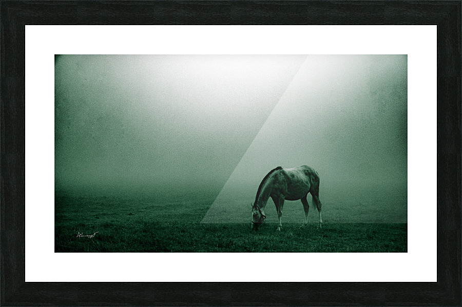 P1300826 Picture Frame print
