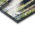 HDstudio.us 285 Acrylic print
