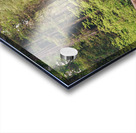 HDstudio.us 272 Acrylic print