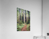 HDstudio.us 285 Acrylic Print