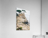 HDstudio.us 64 Acrylic Print