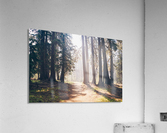 HDstudio.us 300 Acrylic Print