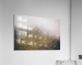 HDstudio.us 39 Acrylic Print