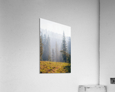 HDstudio.us 303 Acrylic Print