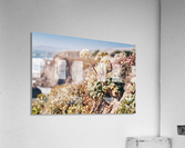 HDstudio.us 119 Acrylic Print