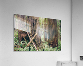 HDstudio.us 282 Acrylic Print