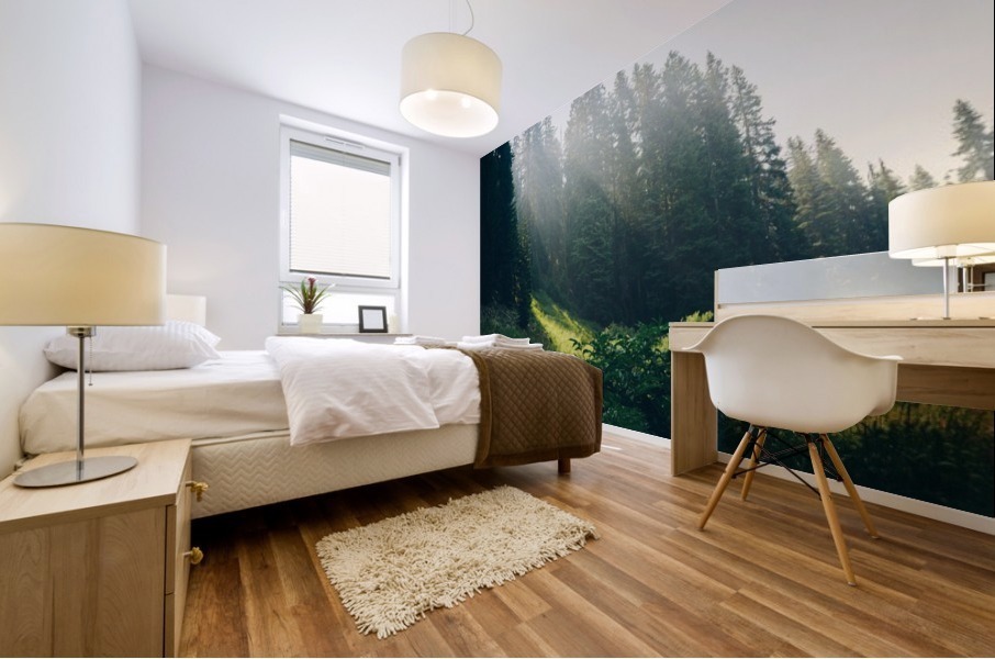 HDstudio.us 334 Mural print