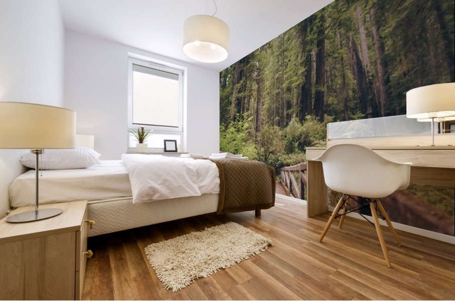 HDstudio.us 272 Mural print