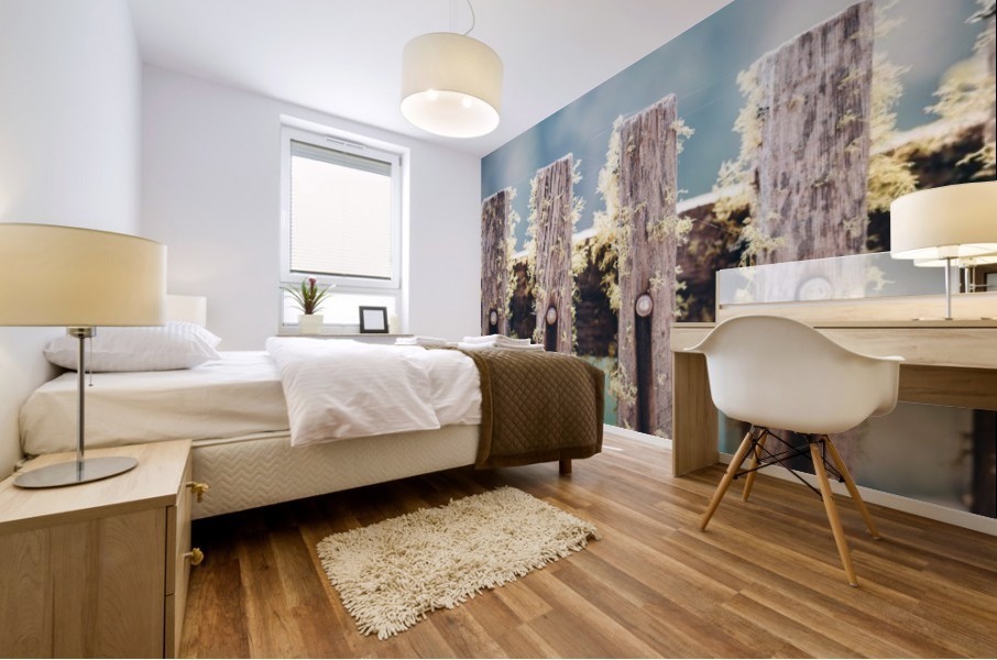HDstudio.us 408 Mural print