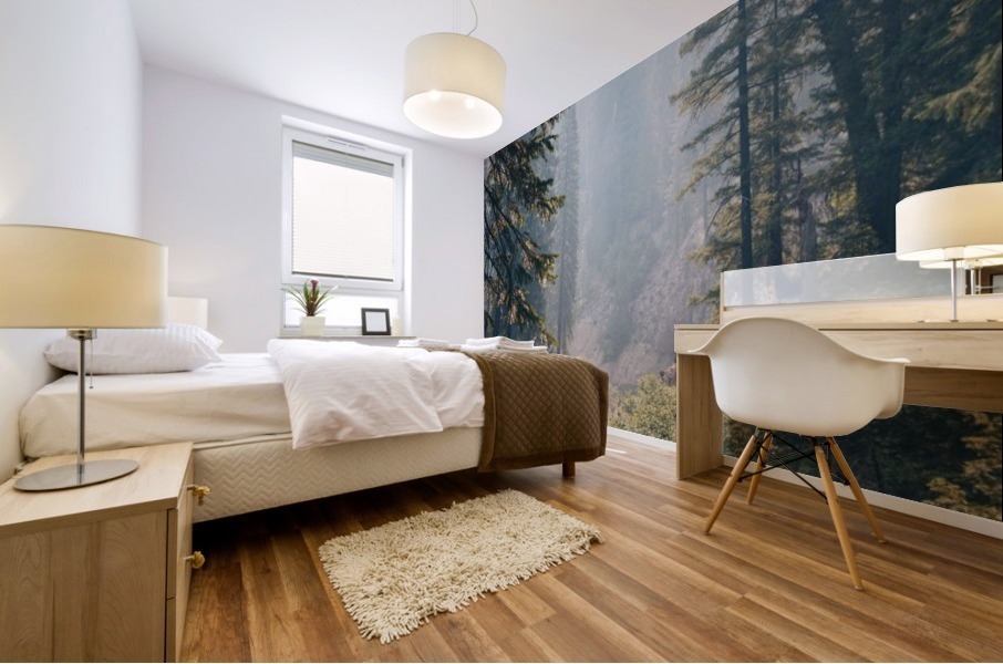 HDstudio.us 417 Mural print