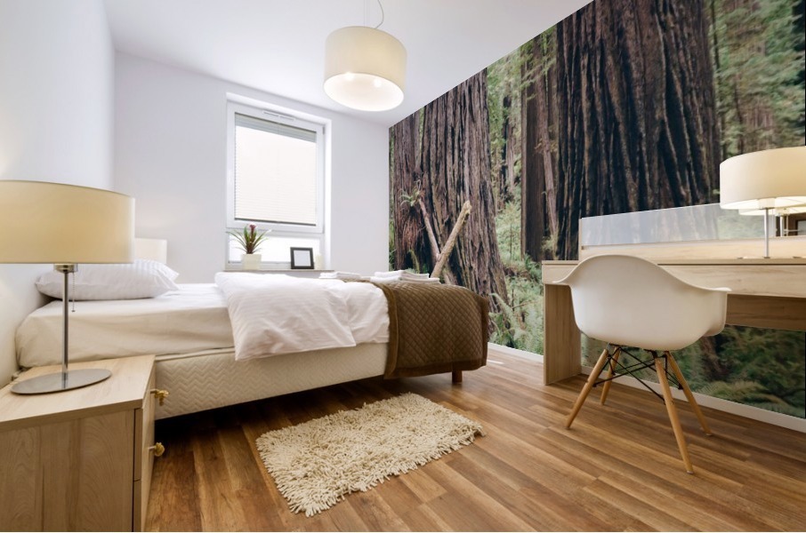 HDstudio.us 282 Mural print