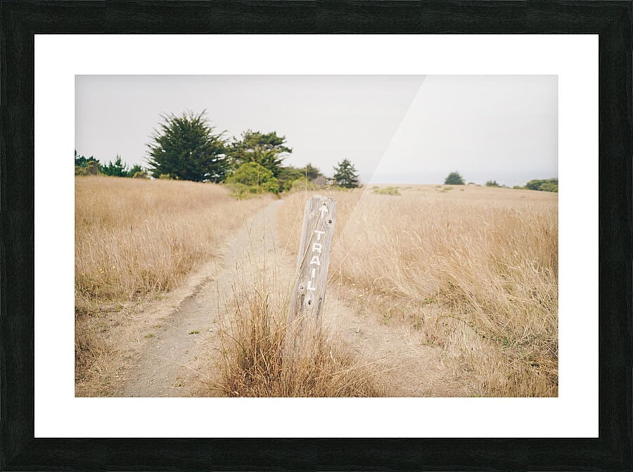 Trails Picture Frame print