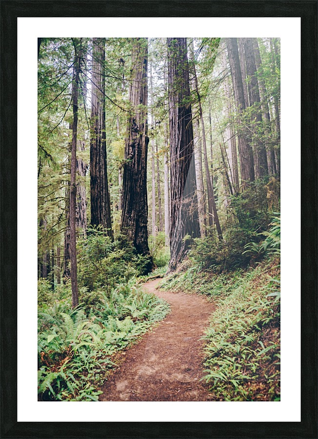 HDstudio.us 285 Picture Frame print