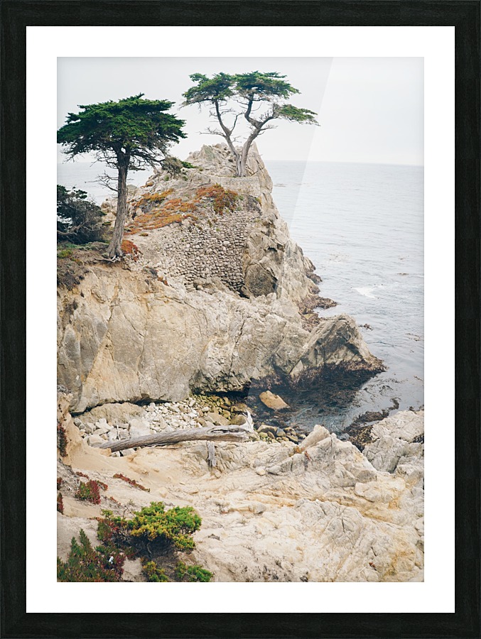 HDstudio.us 64 Picture Frame print