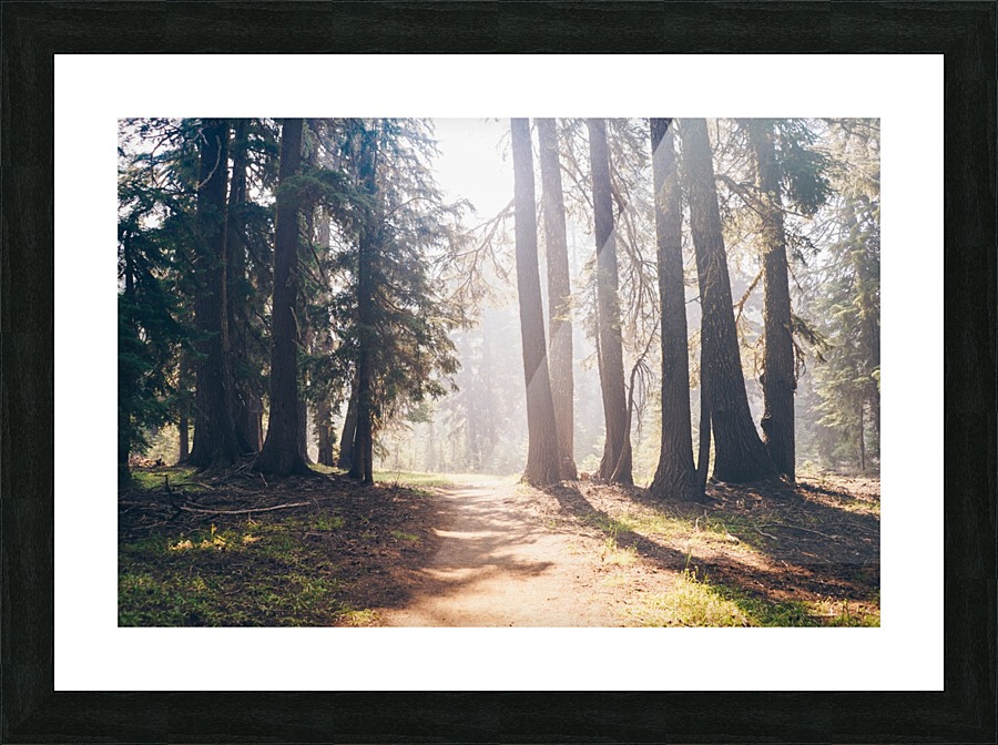 HDstudio.us 300 Picture Frame print