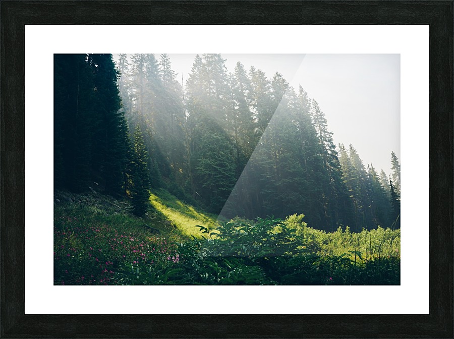 HDstudio.us 334 Picture Frame print