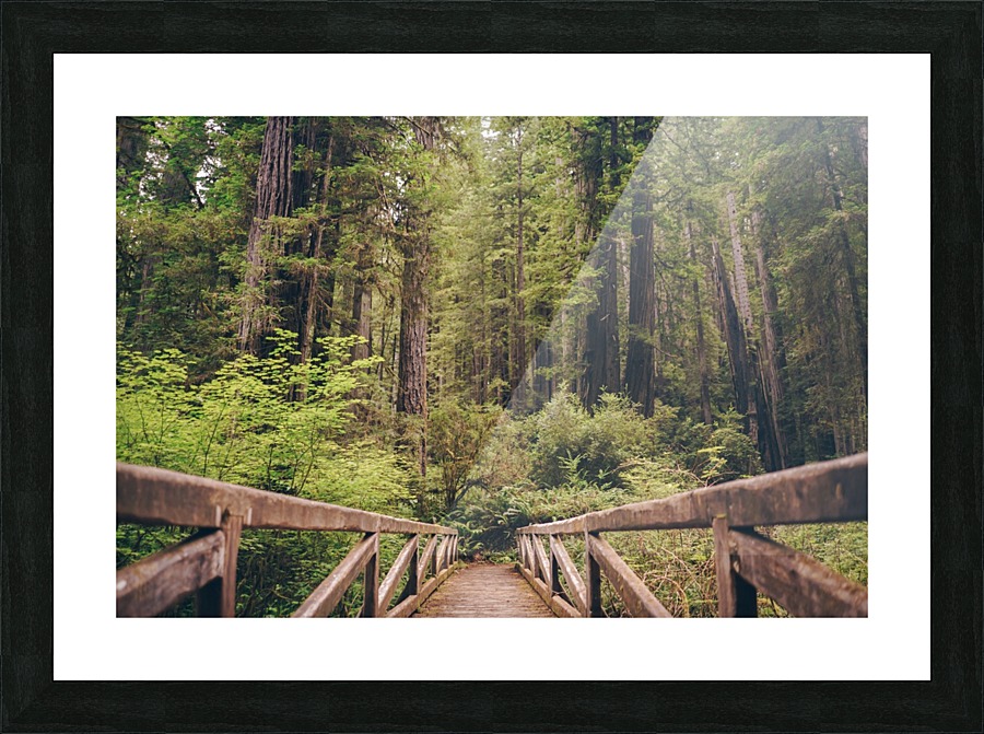 HDstudio.us 272 Picture Frame print