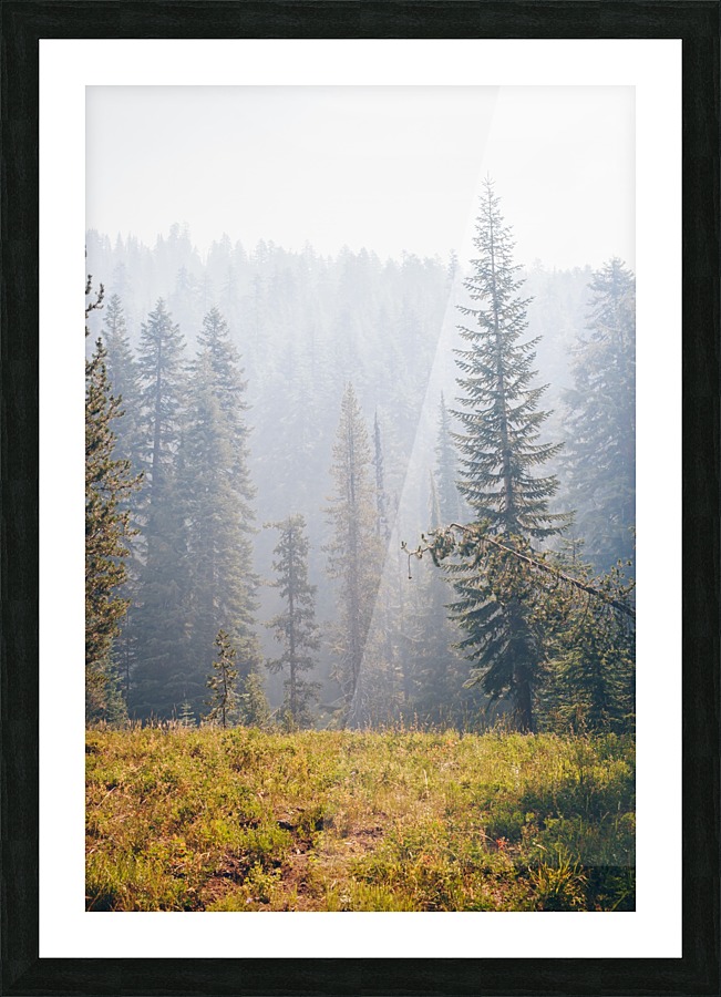 HDstudio.us 303 Picture Frame print