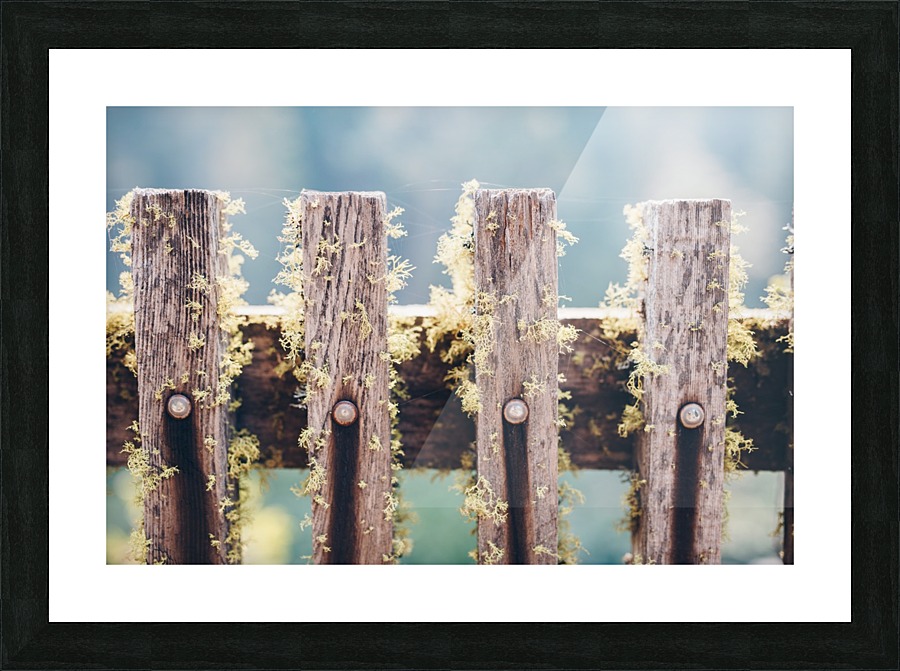 HDstudio.us 408 Picture Frame print