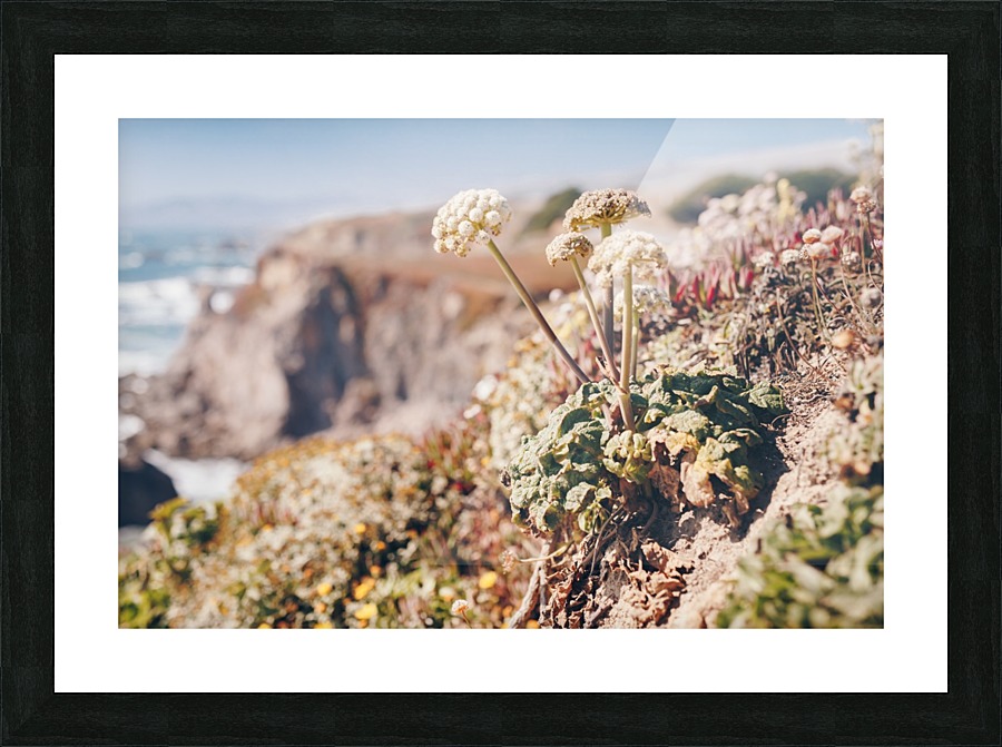 HDstudio.us 119 Picture Frame print