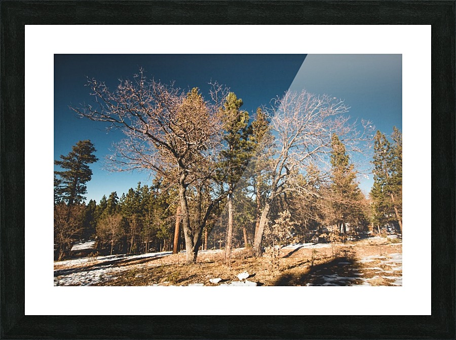 IMG_7853 Picture Frame print