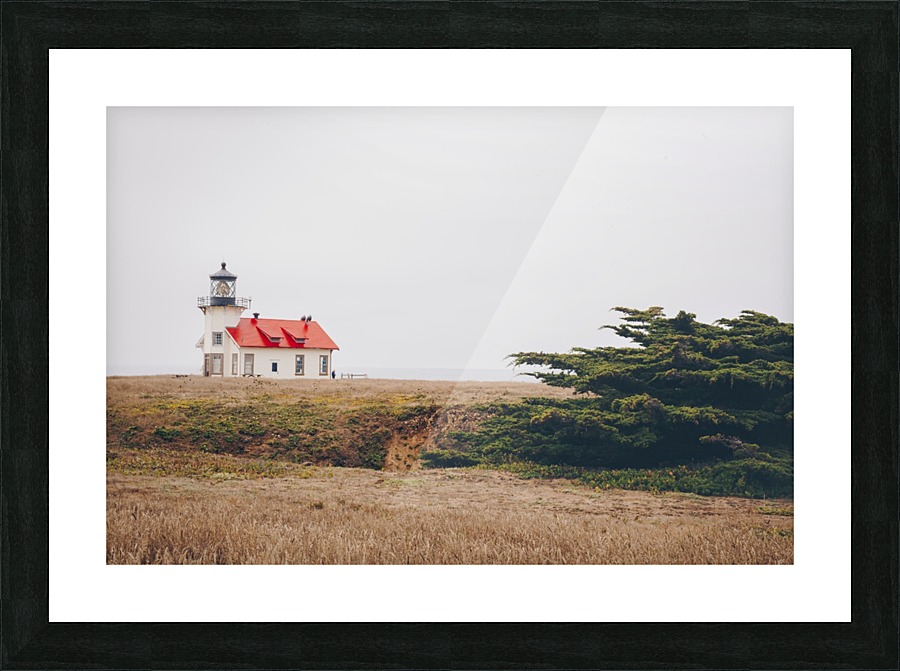 HDstudio.us 158 Picture Frame print