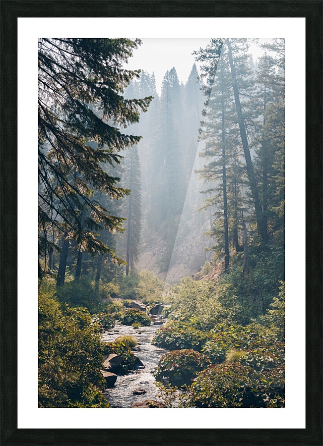 HDstudio.us 417 Picture Frame print